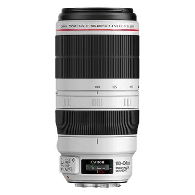 Canon EF 100-400 mm F\4.5-5.6L IS USM